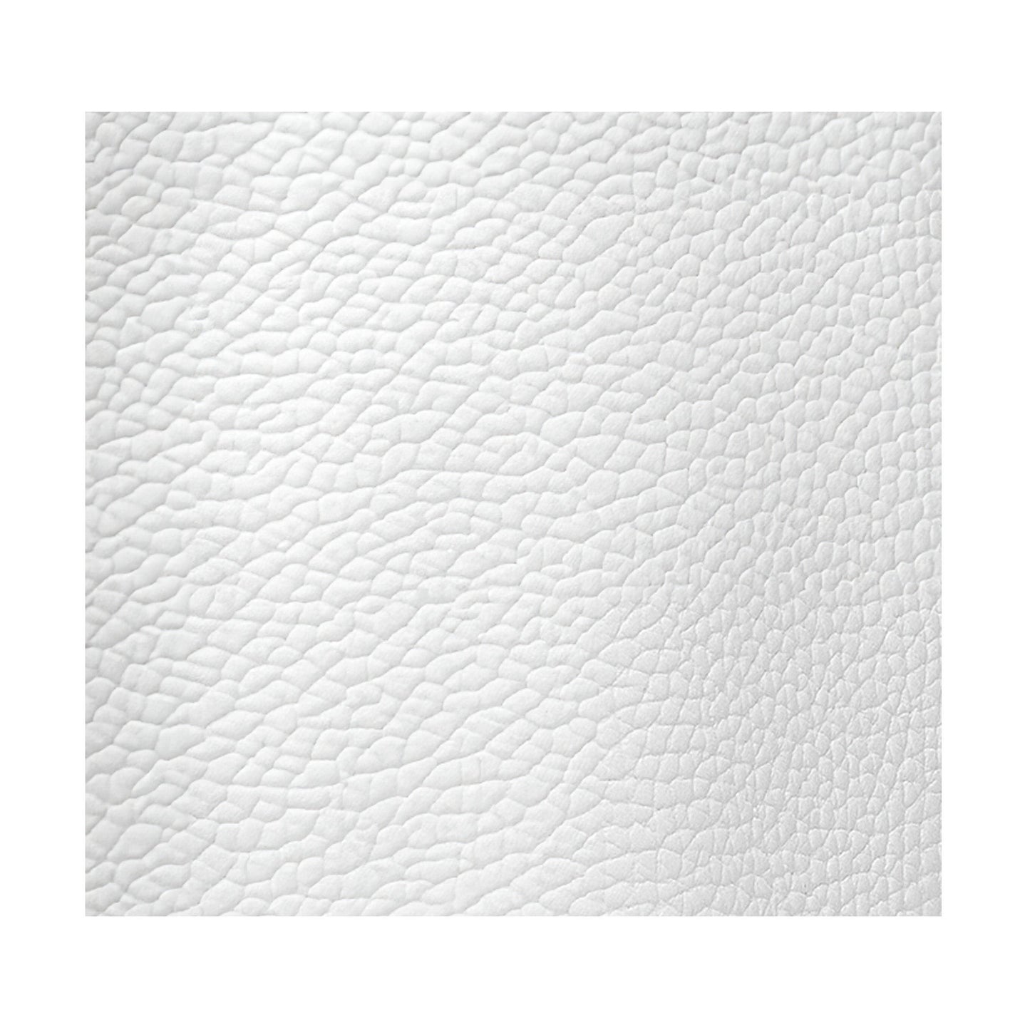 White Smooth Grained Leather